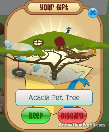 acaciatree