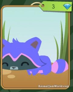 diamond-shop-pet-raccoon