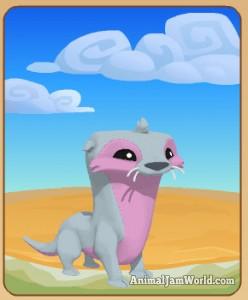 animal-jam-otter-codes-1